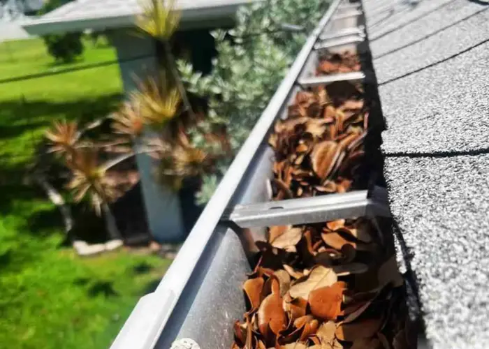 Jackson Township gutter cleaning home page